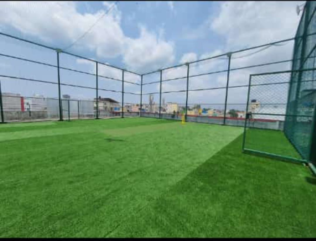 11 Star Cricket Turf