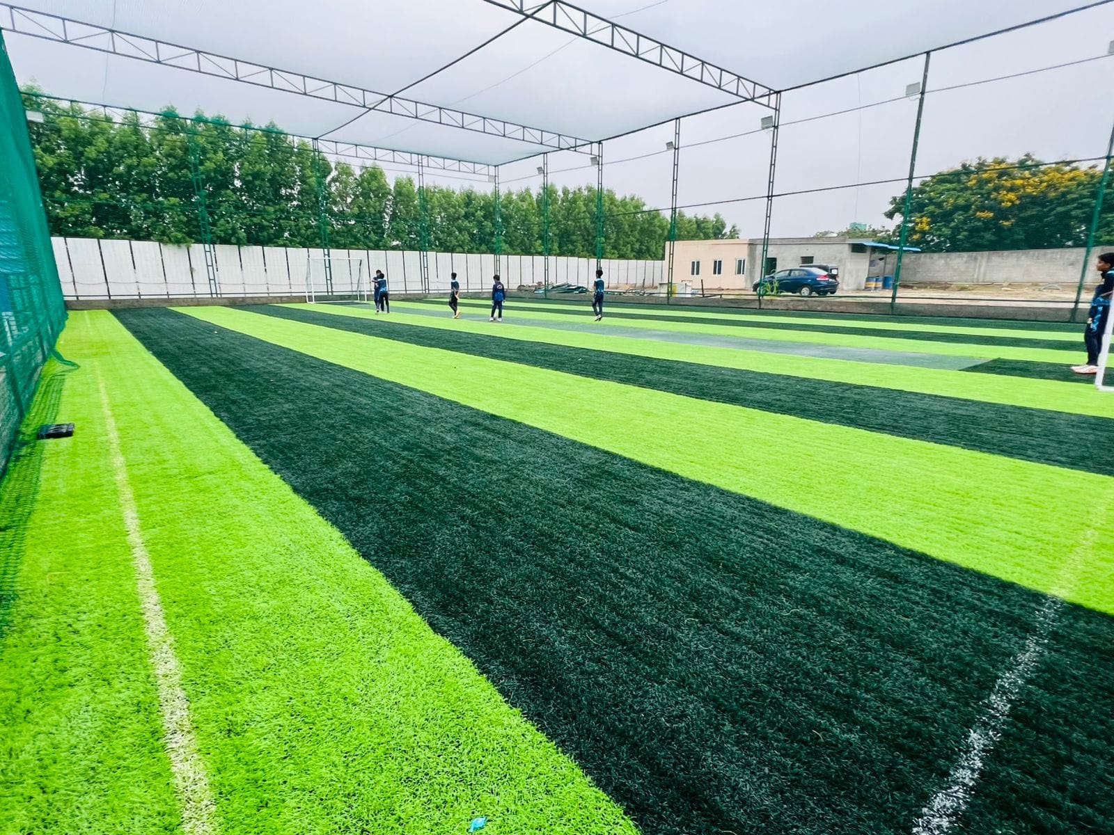 Turf photo 7
