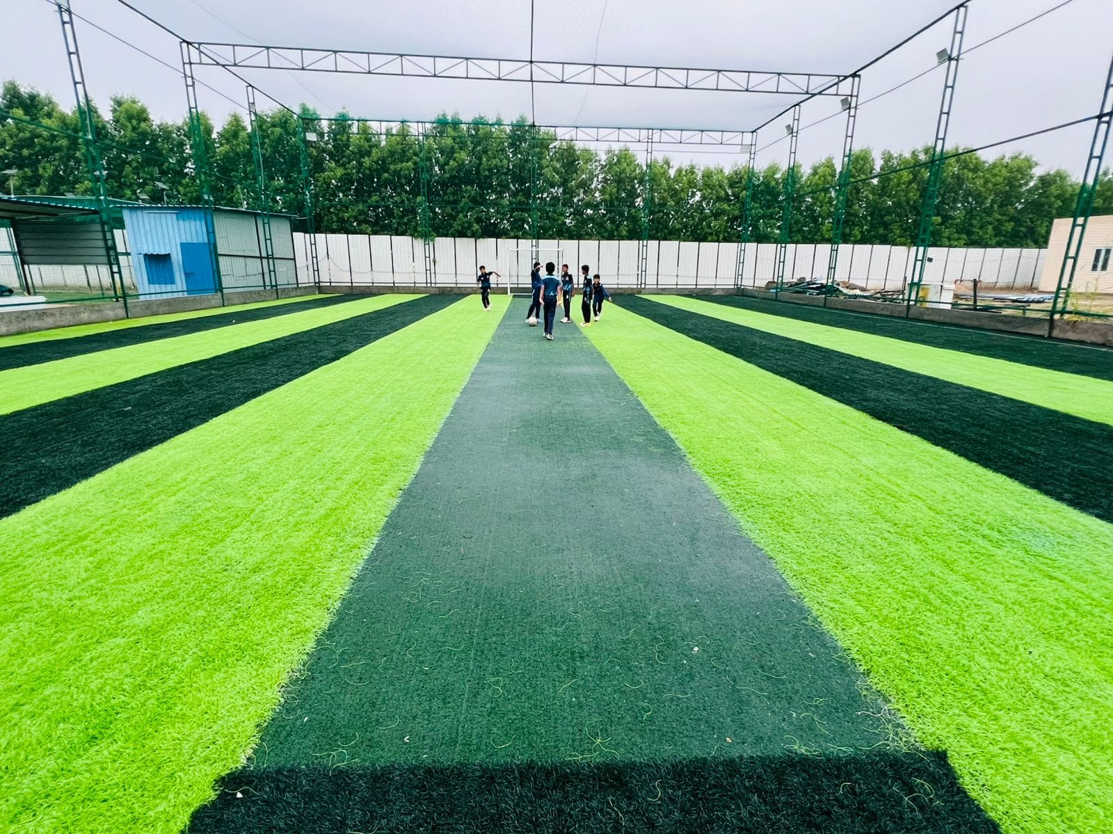 Turf photo 9