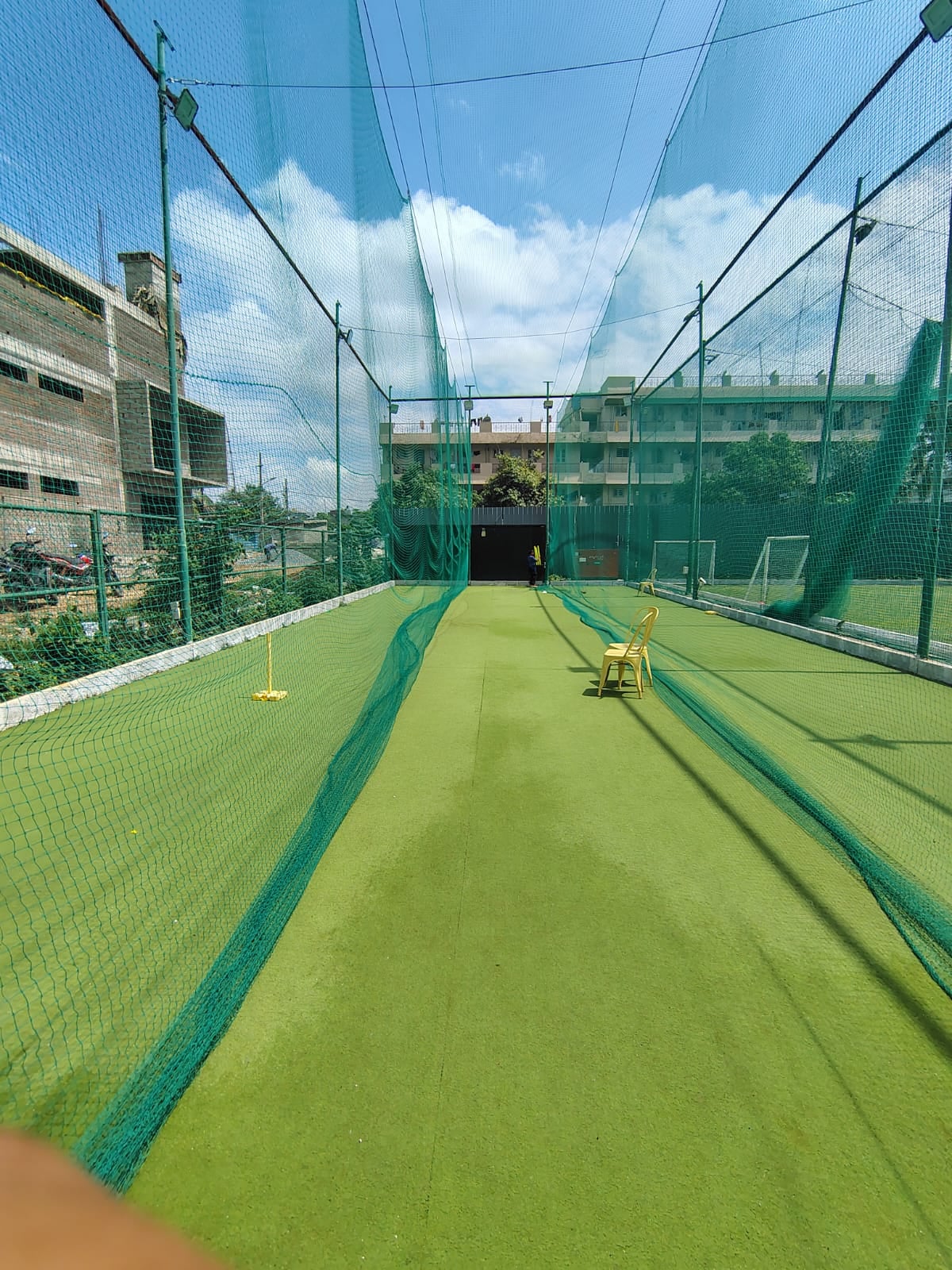 Turf photo 7