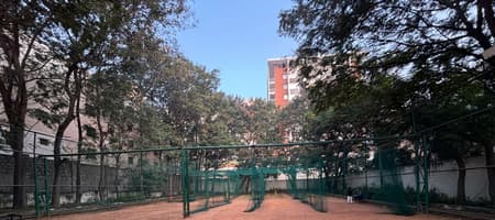 4Force Cricket Academy