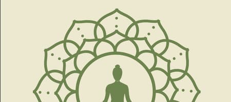 Aadi Prasada Yoga & Wellness