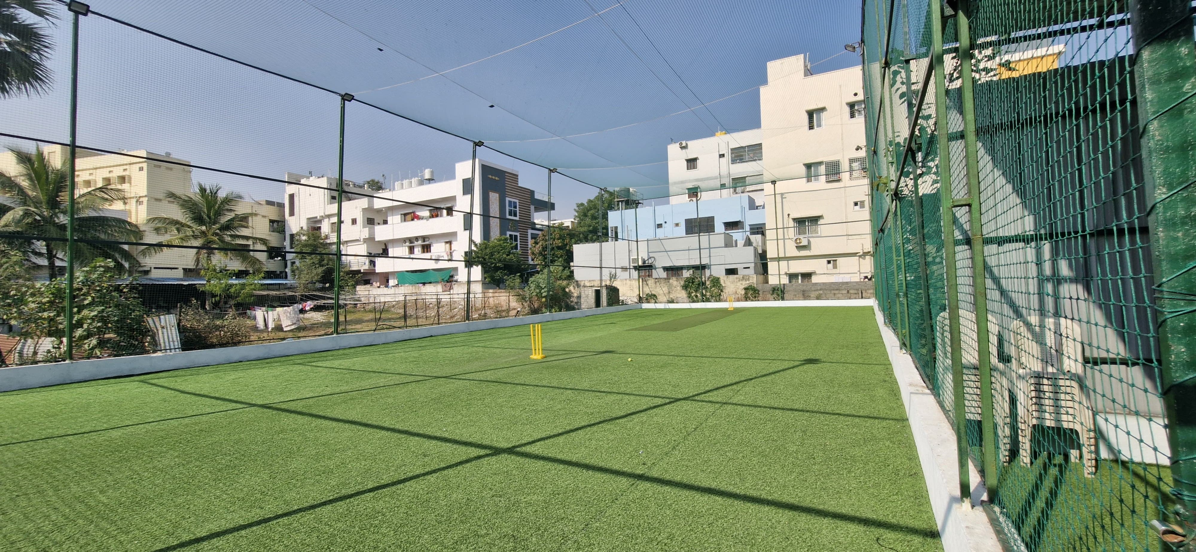 Turf photo 9