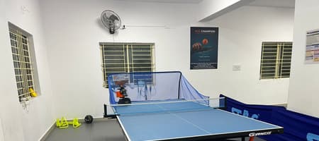 Ace Champion Table Tennis Academy