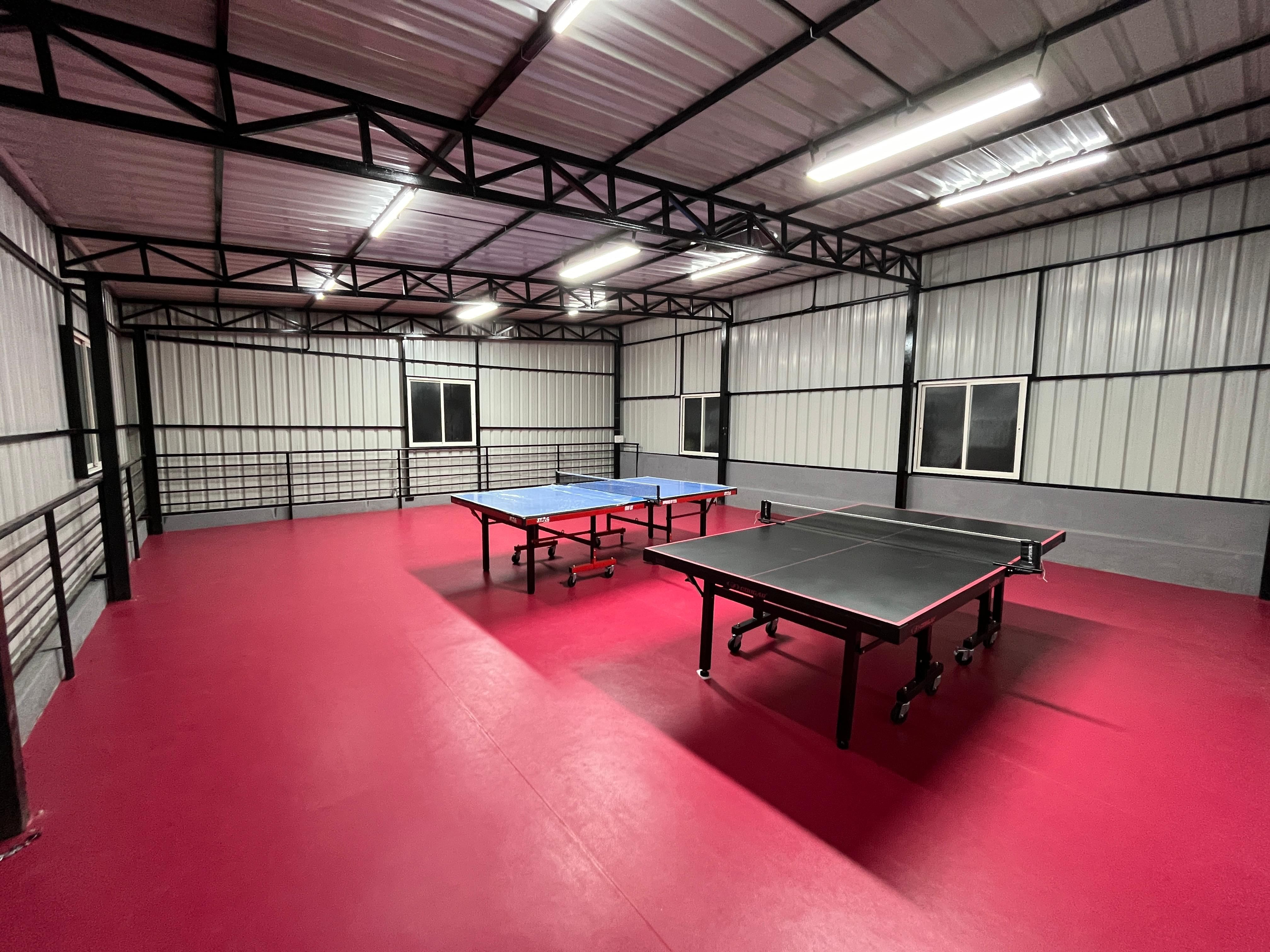 Ace Table Tennis Arena