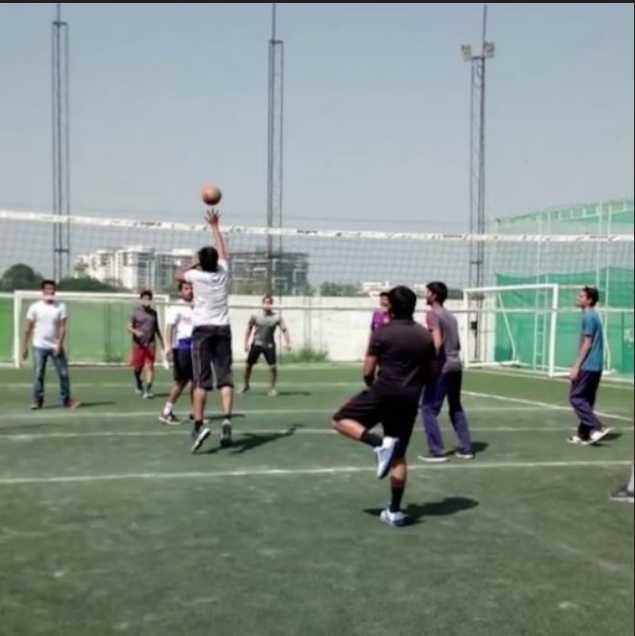Turf photo 8
