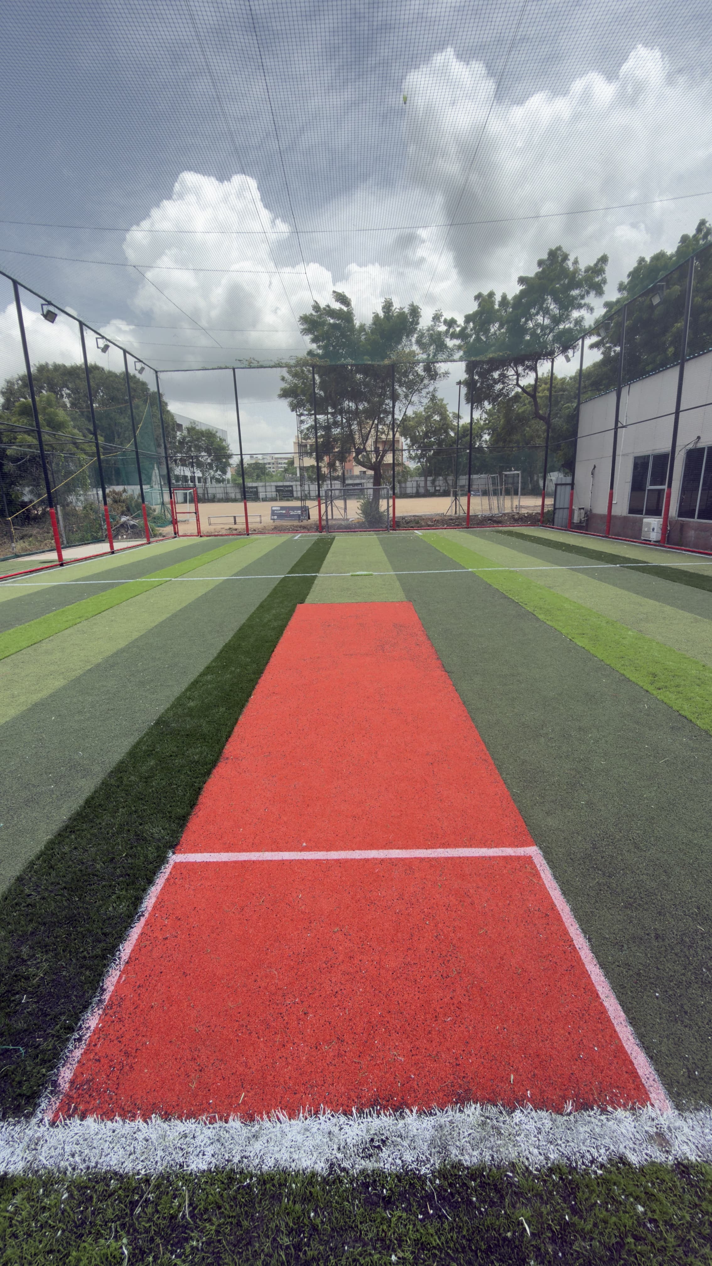 Turf photo 12