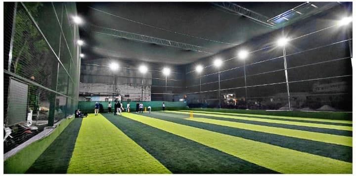 AJ Cricket Turf