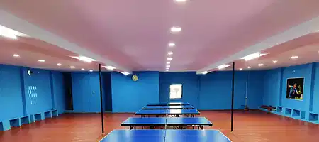 AK Table Tennis Academy