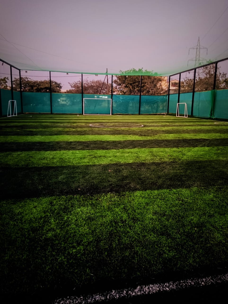 Turf photo 7