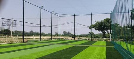 Alpha Arena