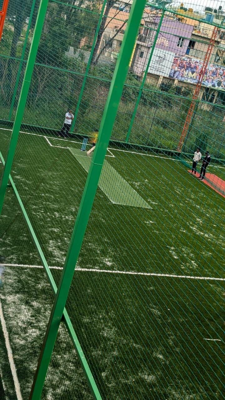 Turf photo 9
