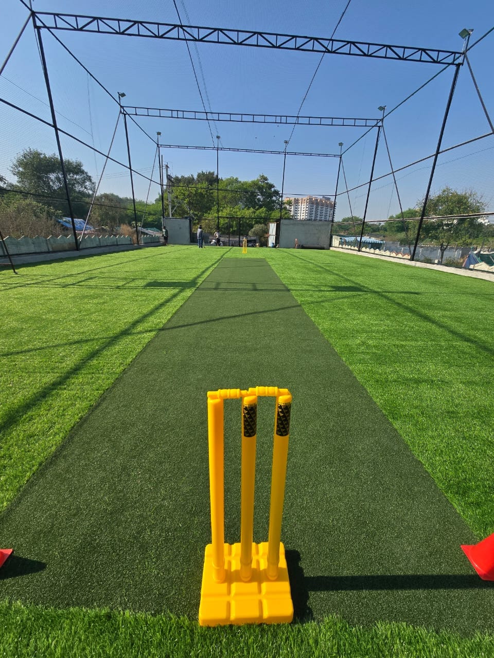 Turf photo 3