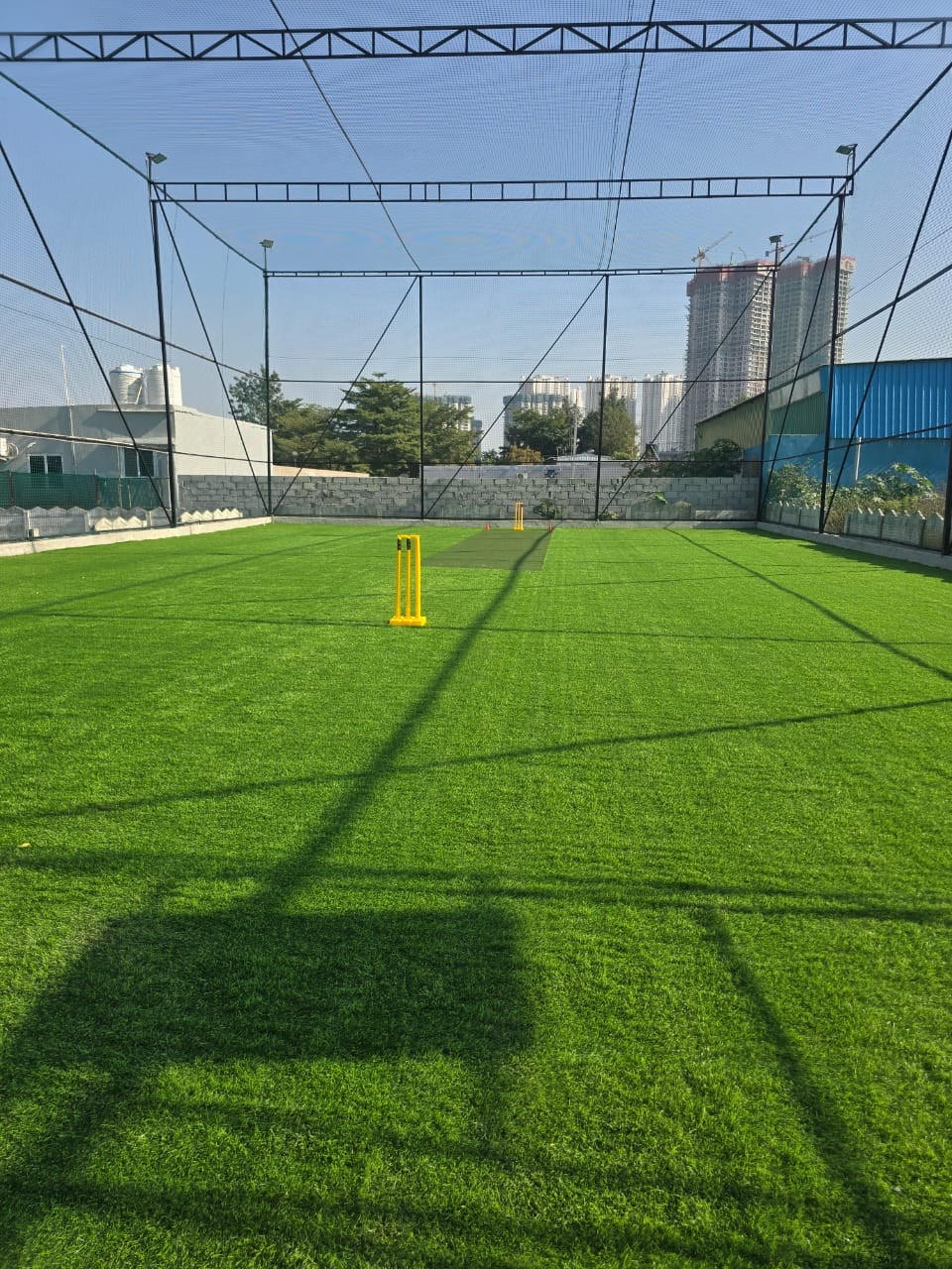 Turf photo 4