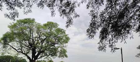 Areva Cricket Ground