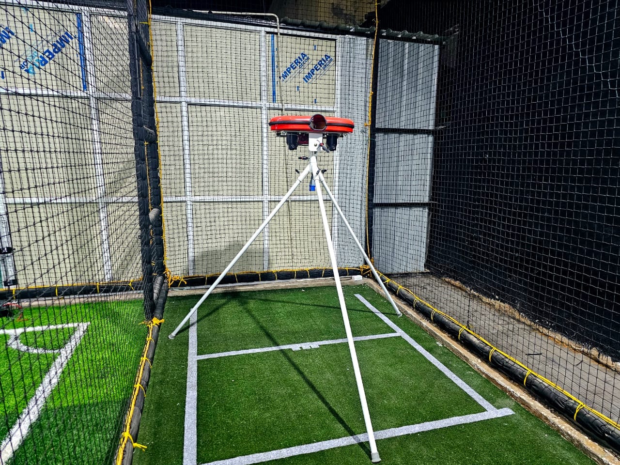 Turf photo 4