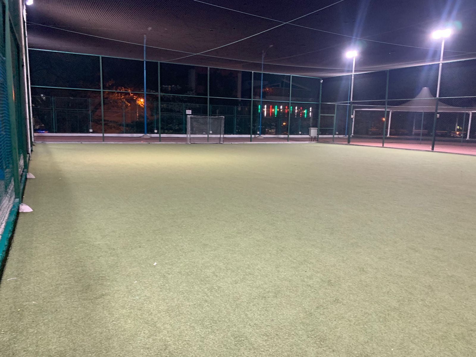 Turf photo 7