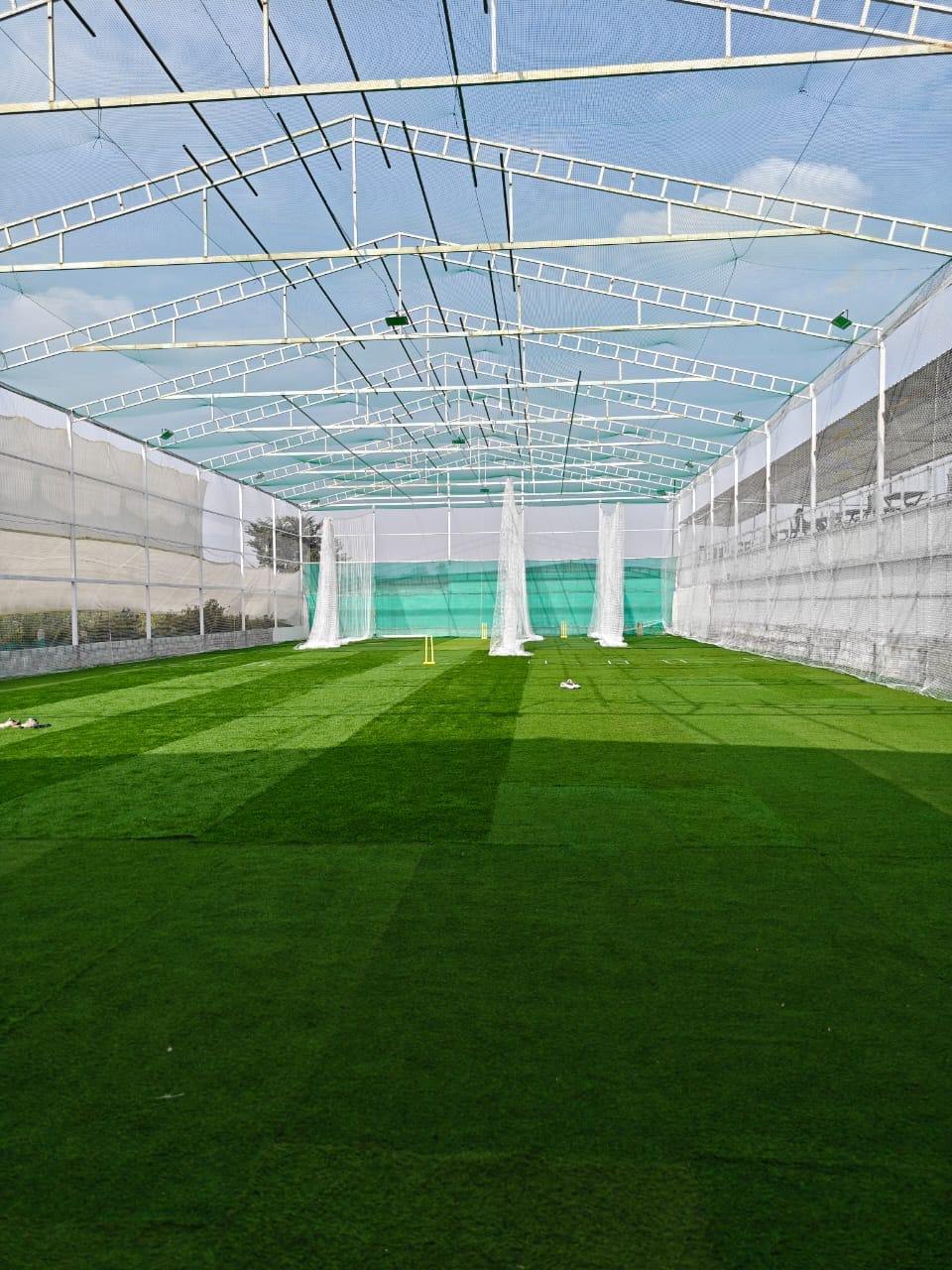 Turf photo 6