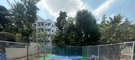 Backyard Pickleball