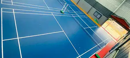 Badminton Wings