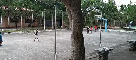 Basketball Main Court