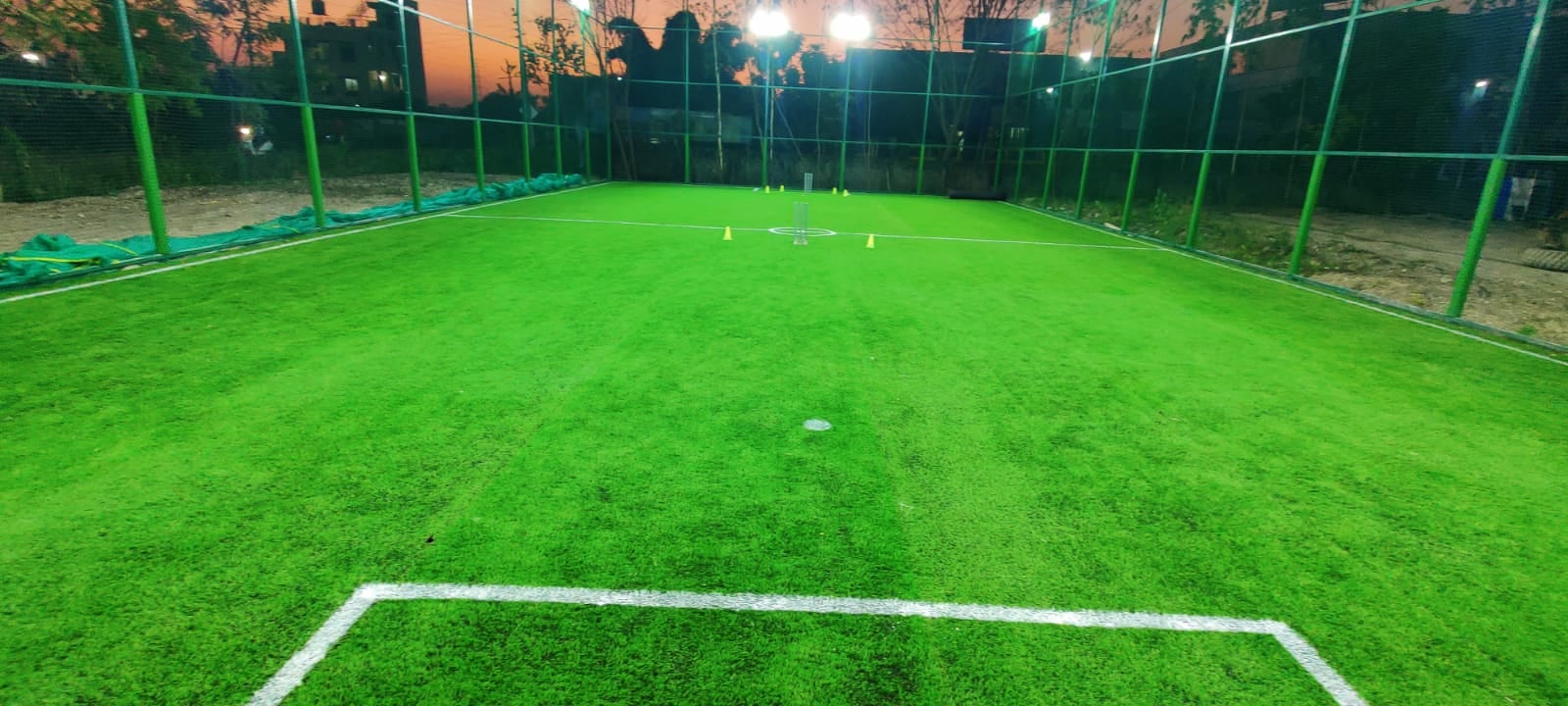 Turf photo 8