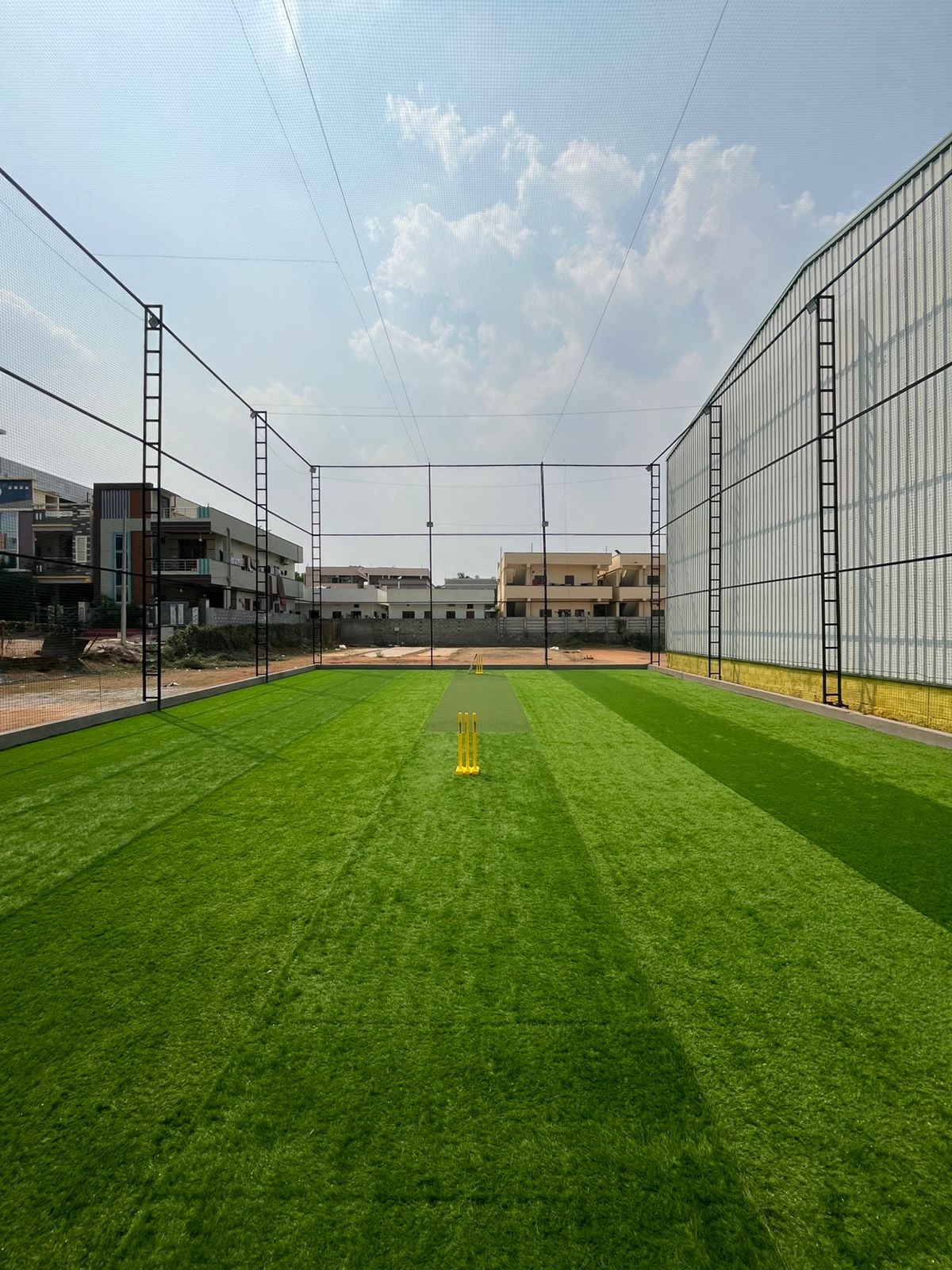 Turf photo 4
