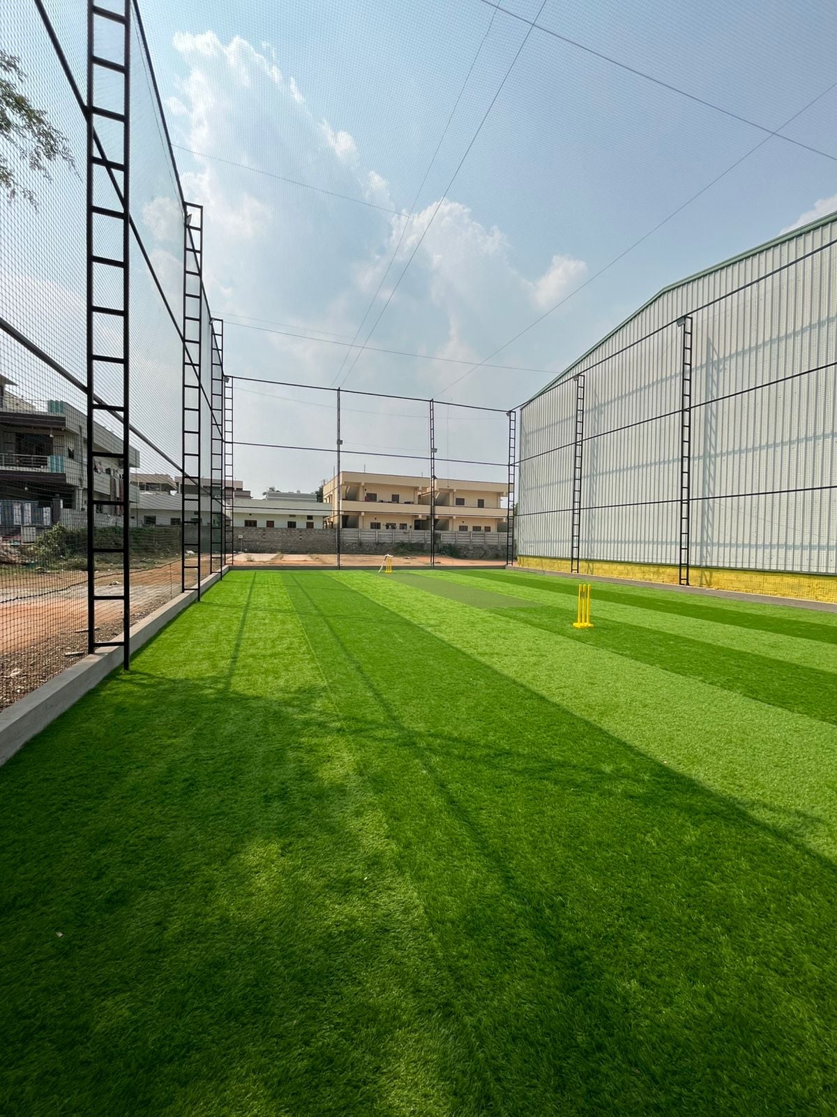 Turf photo 5
