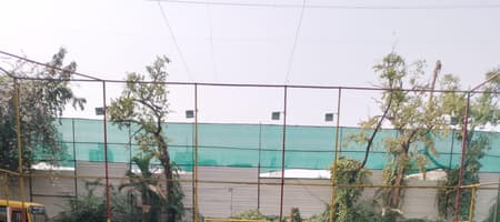 Battlefield-Little Angels Turf