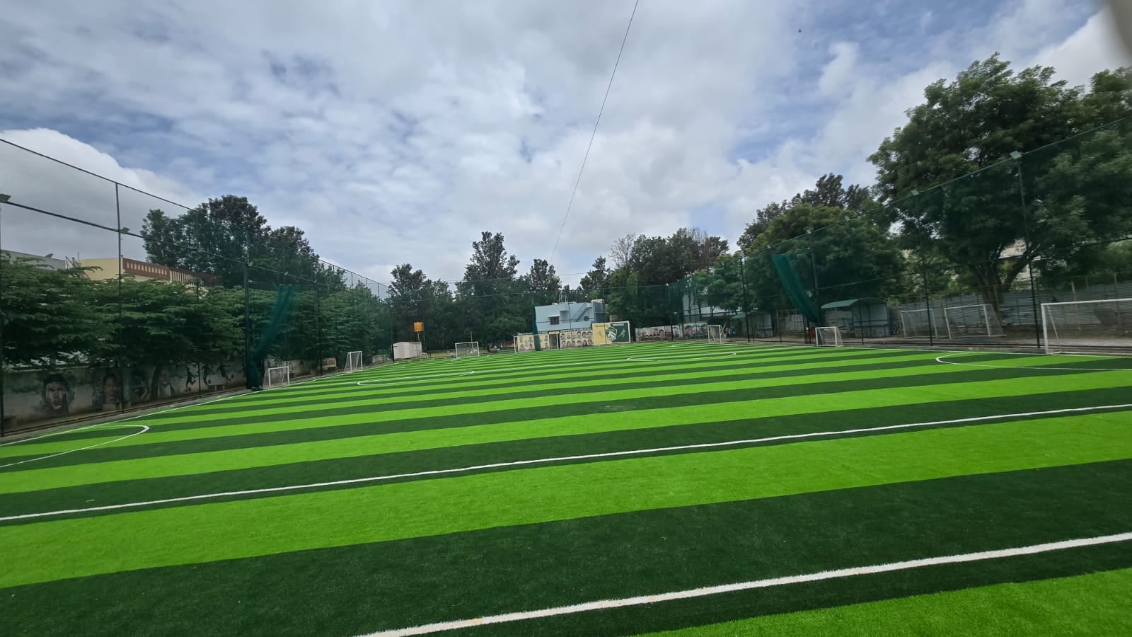 Turf photo 6