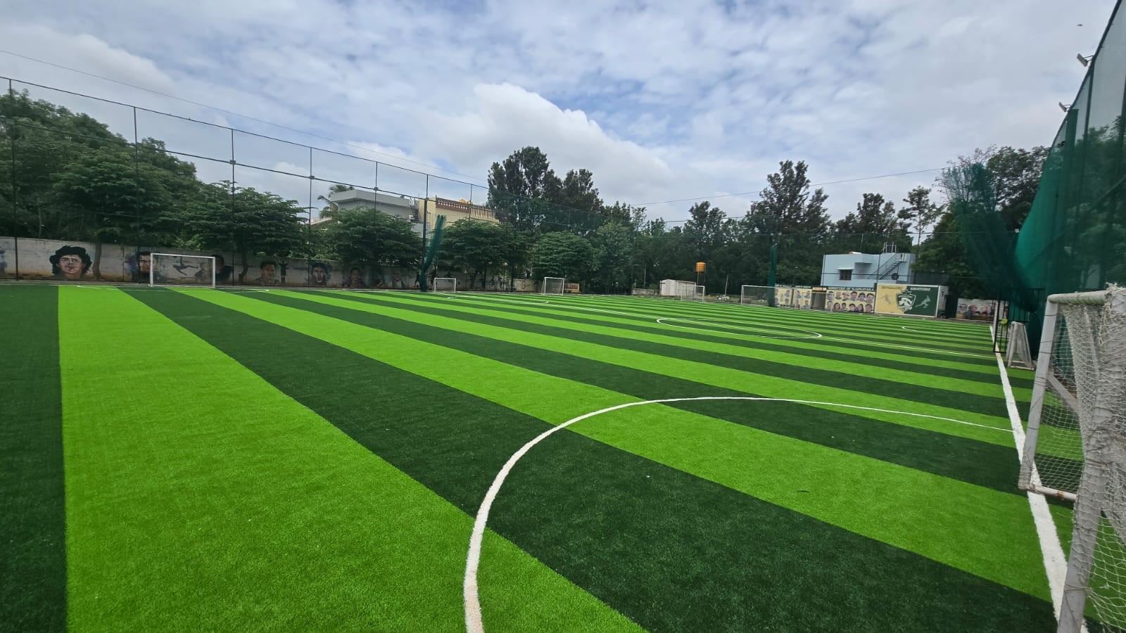 Turf photo 7