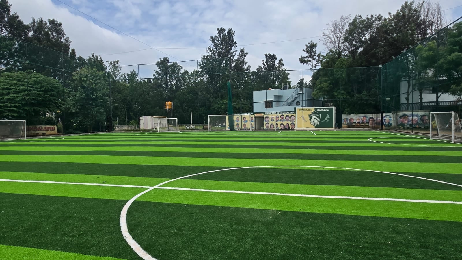 Turf photo 8