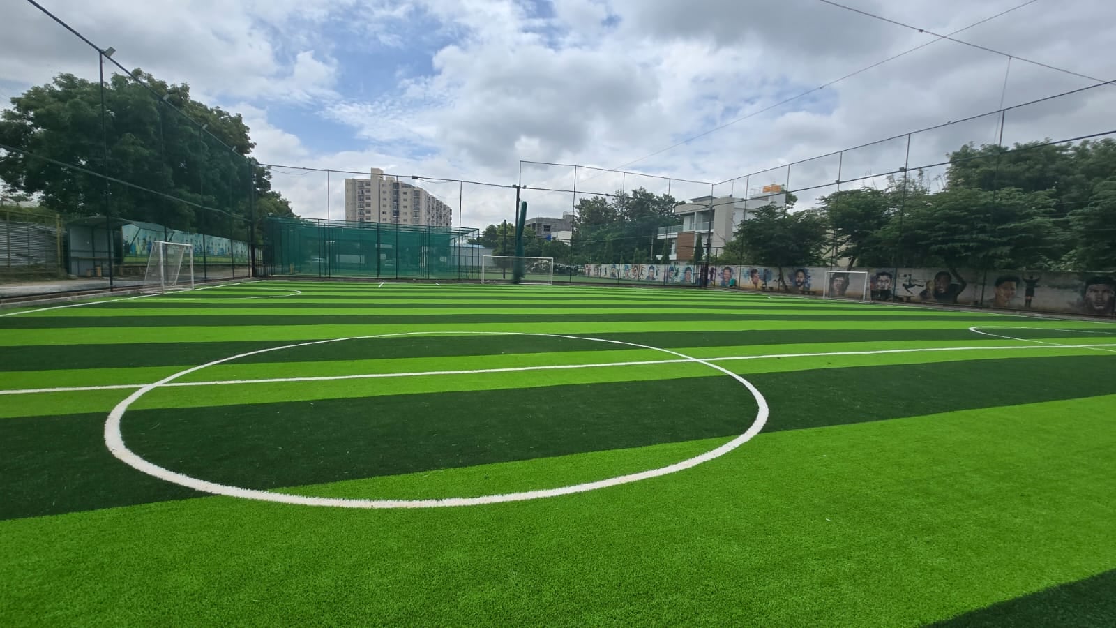 Turf photo 9