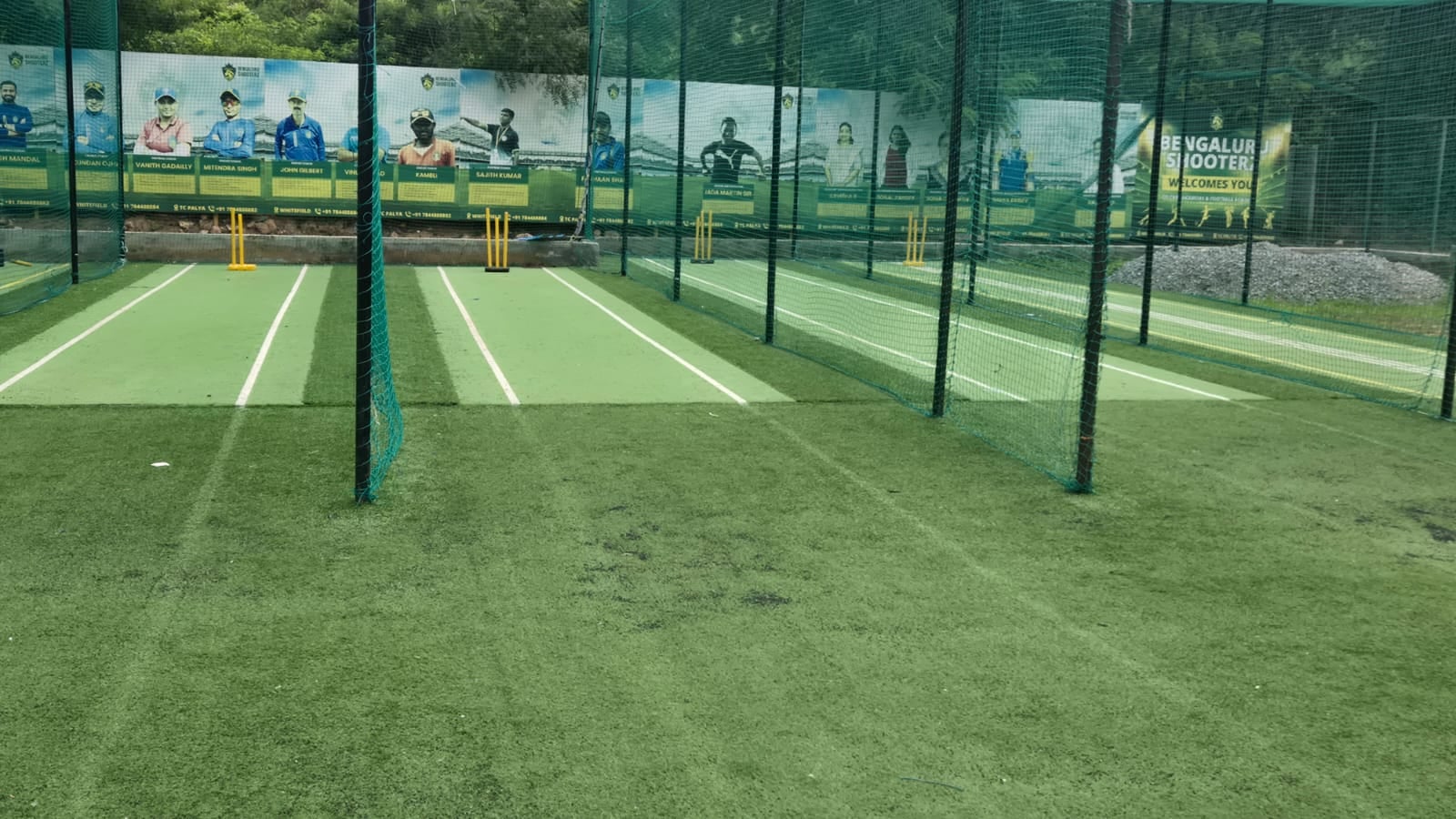 Turf photo 11