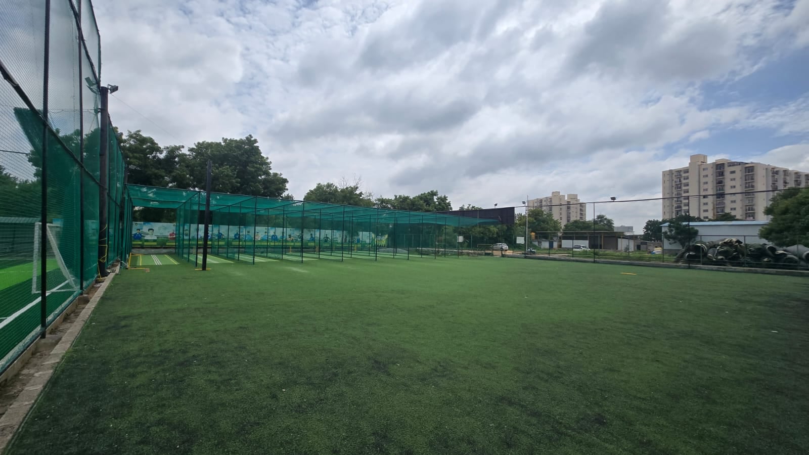 Turf photo 12