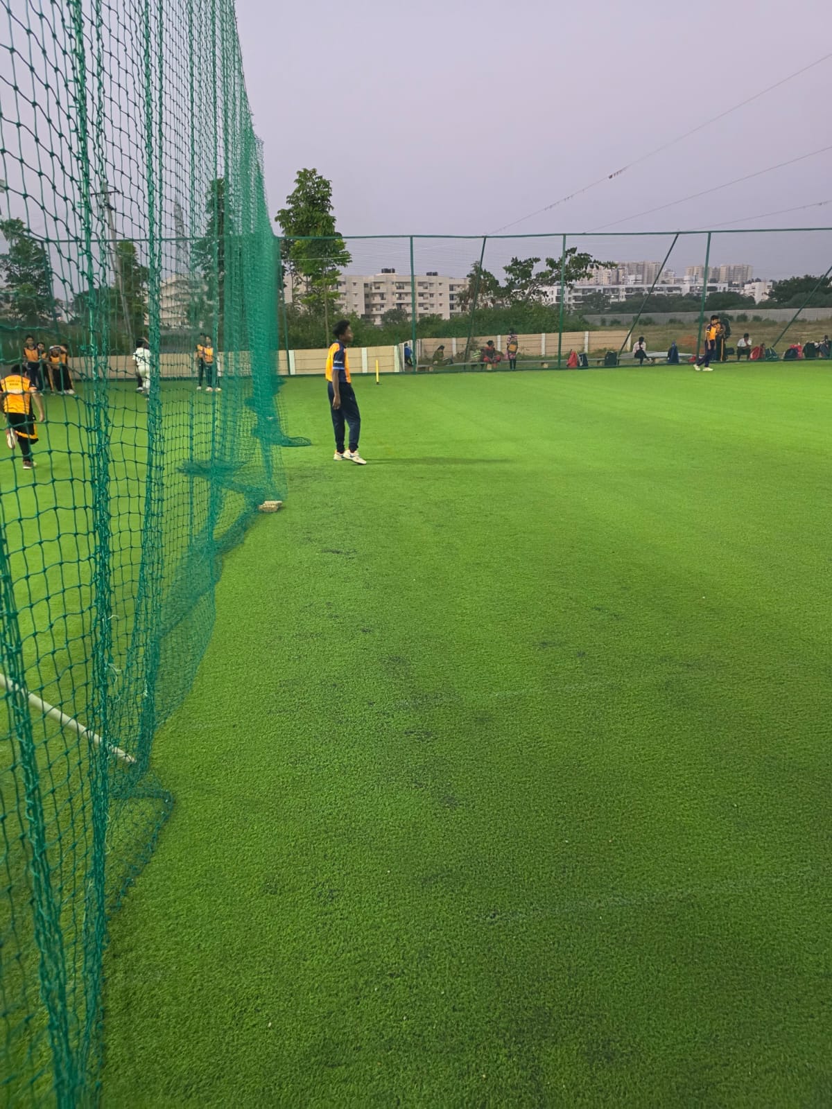 Turf photo 5