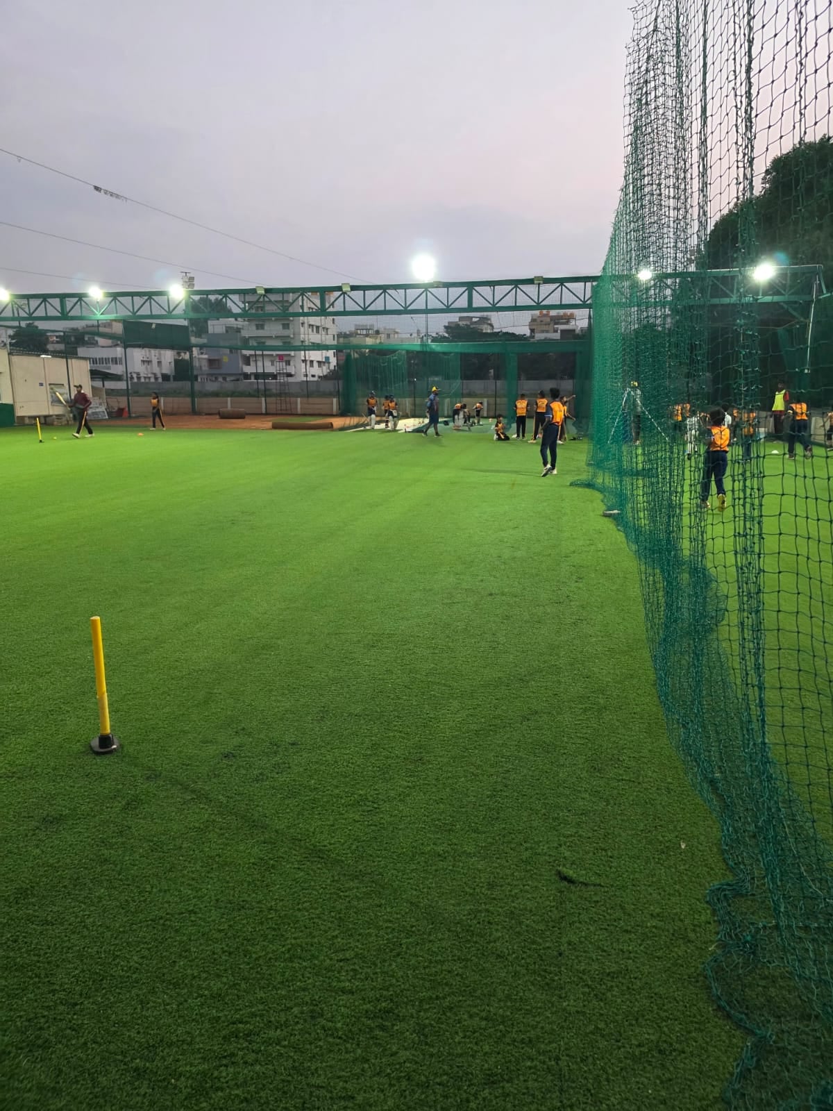 Turf photo 6