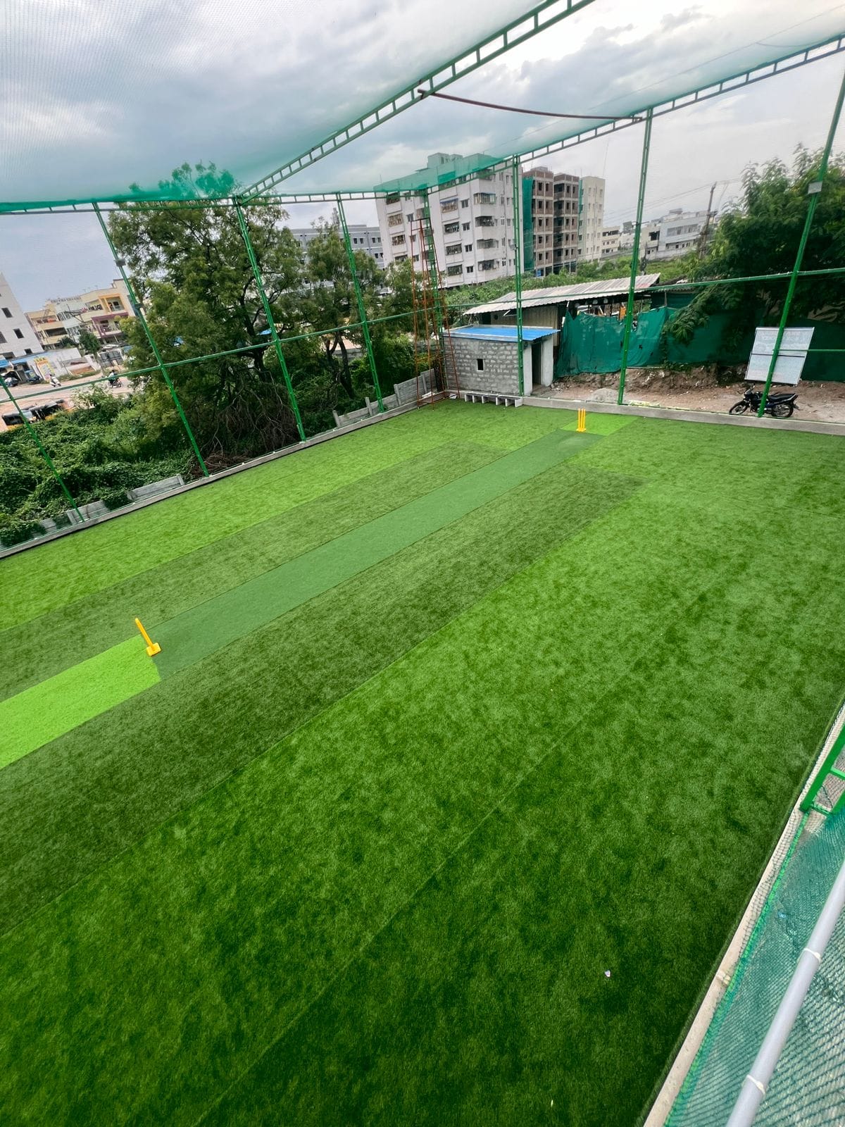 Turf photo 9