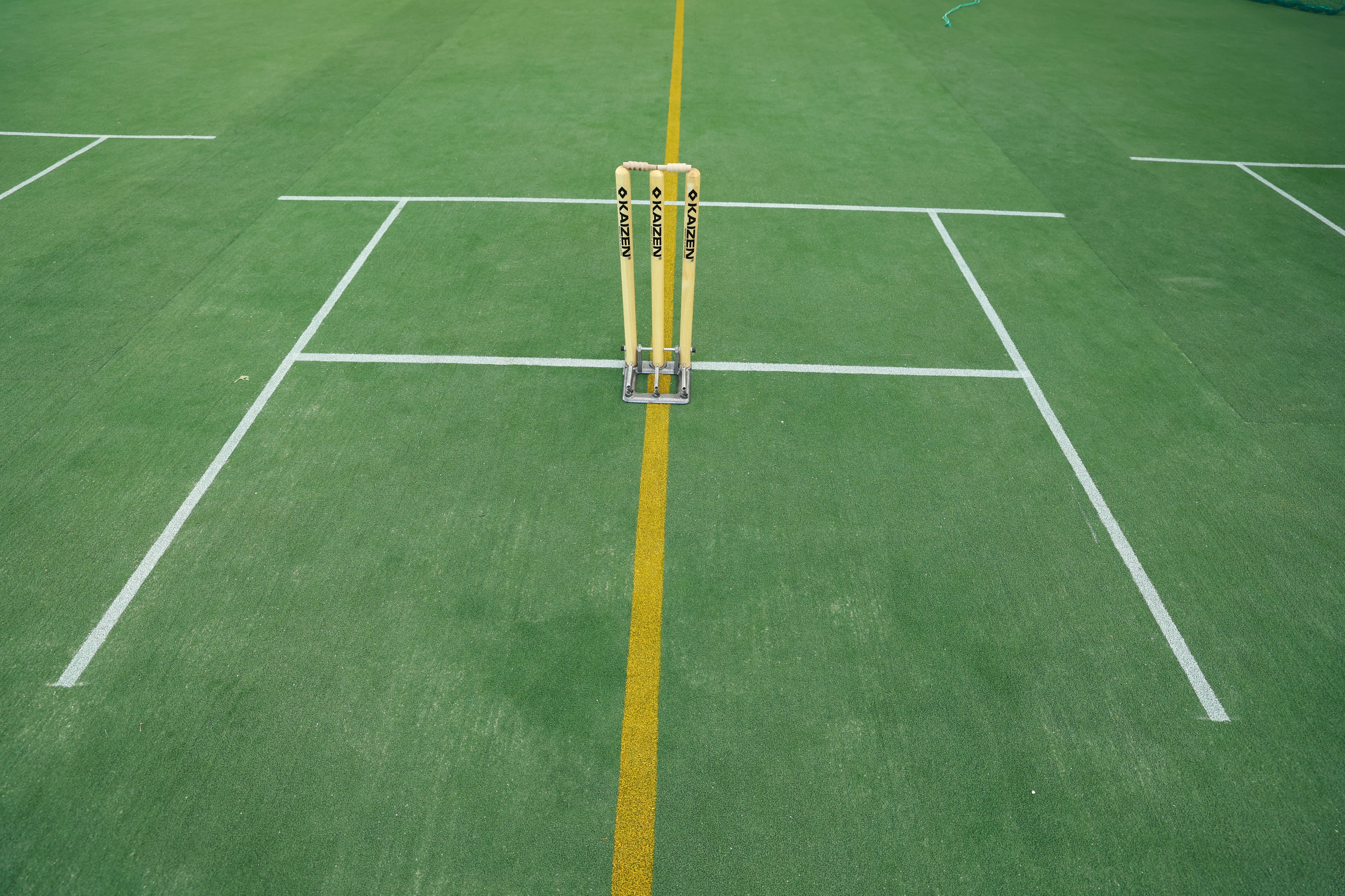 Turf photo 8