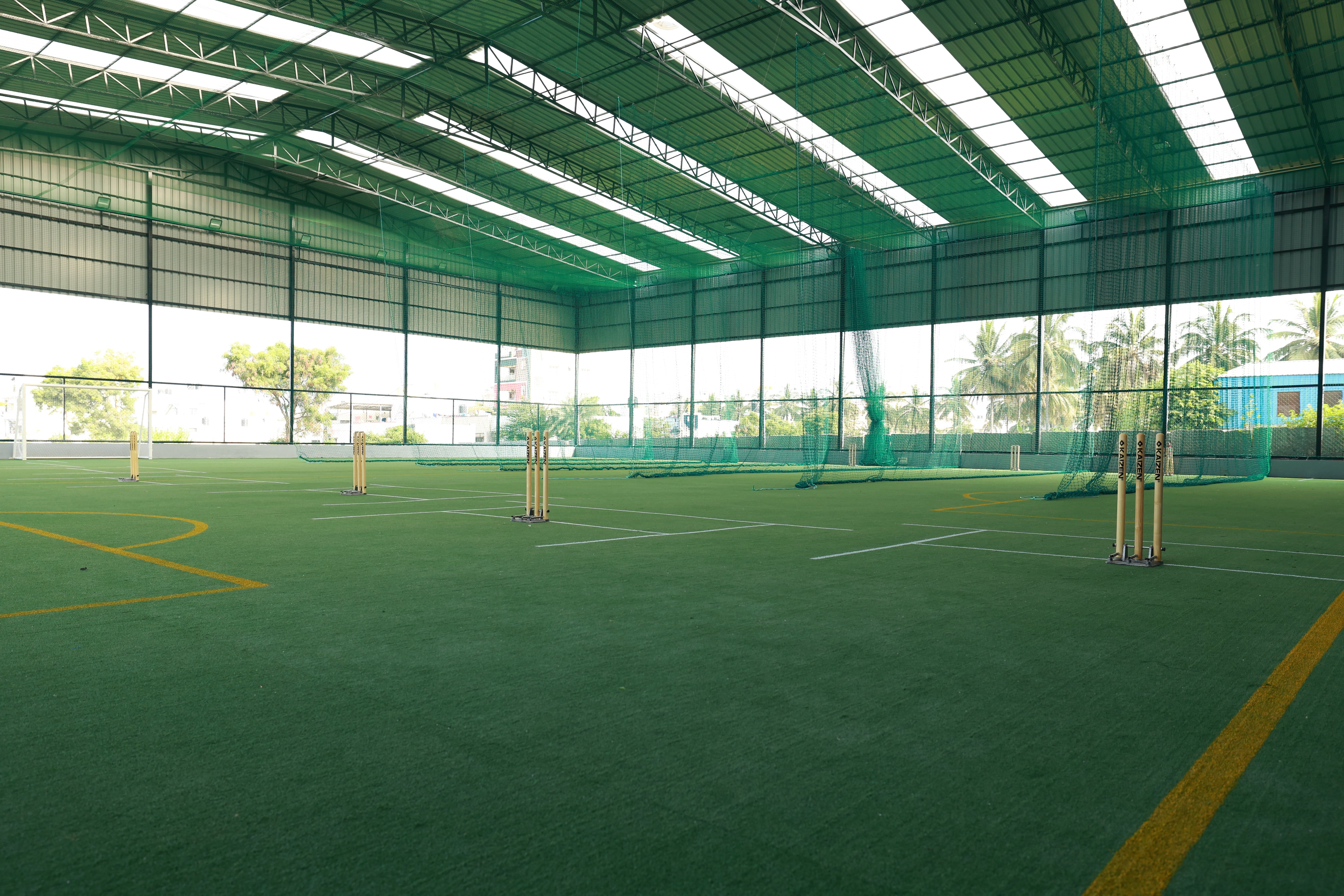 Turf photo 9