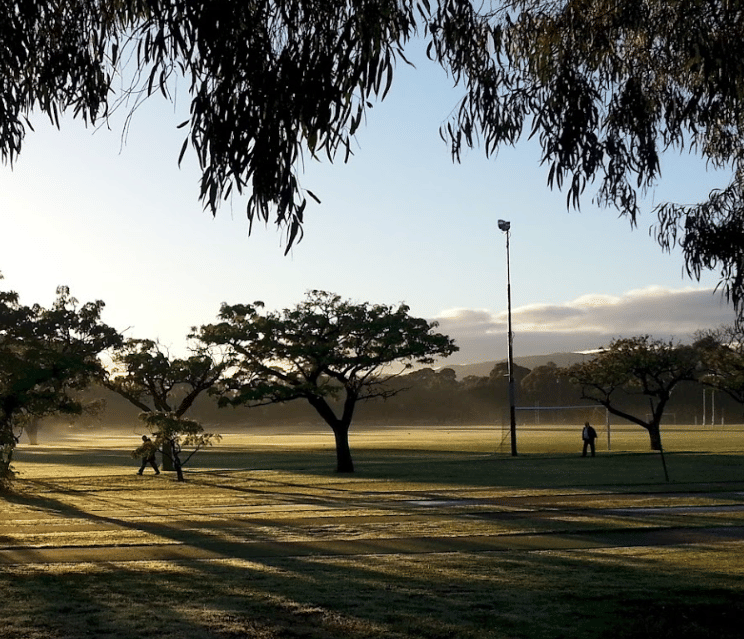 Blue Gum Park / Kurangga (Park 20)