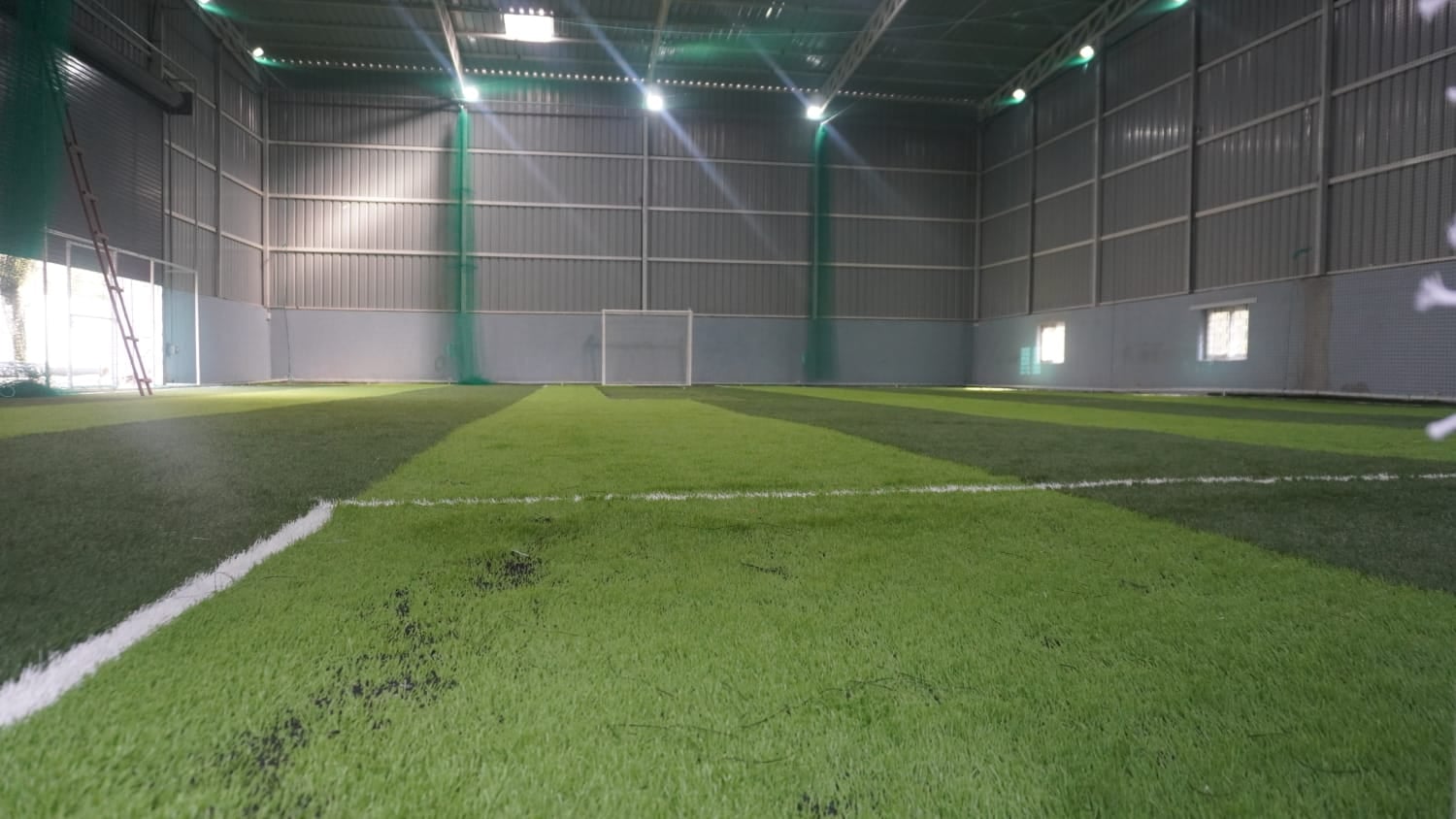 Turf photo 5