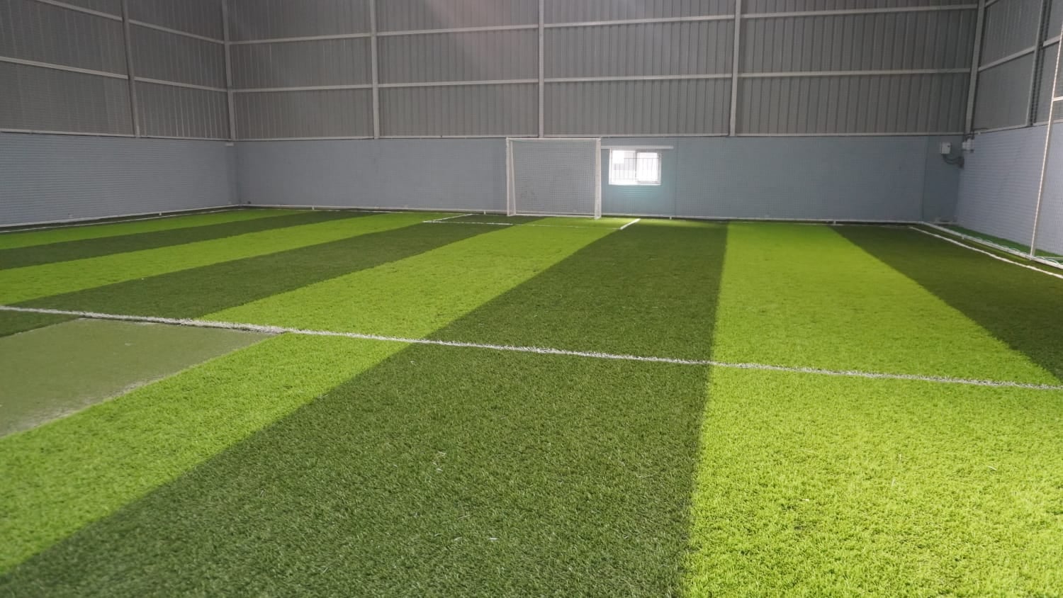 Turf photo 6