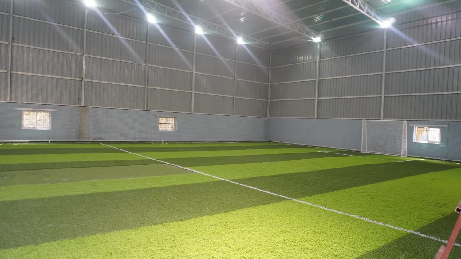 Turf photo 7