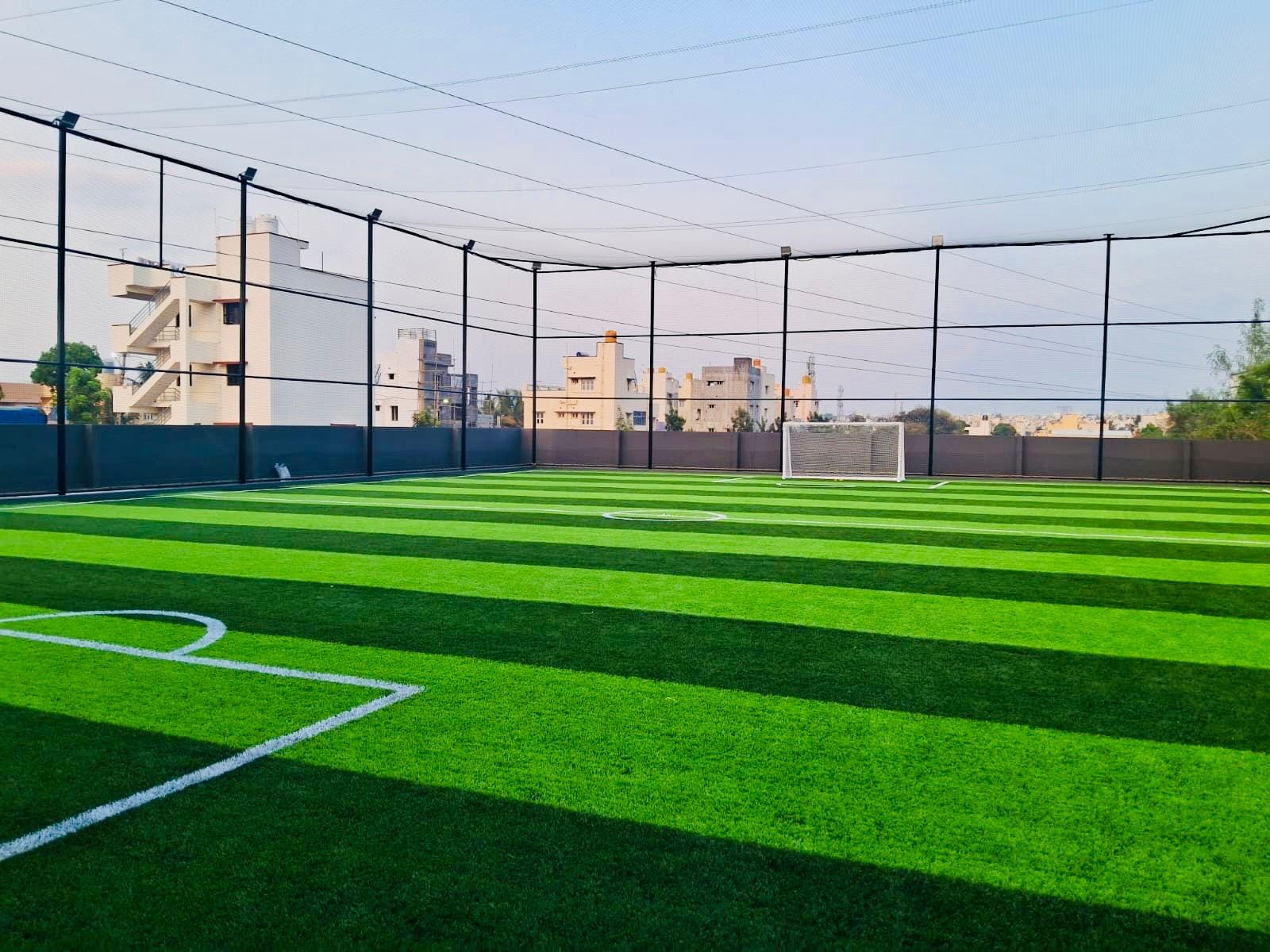 Blue Tang Sports Club