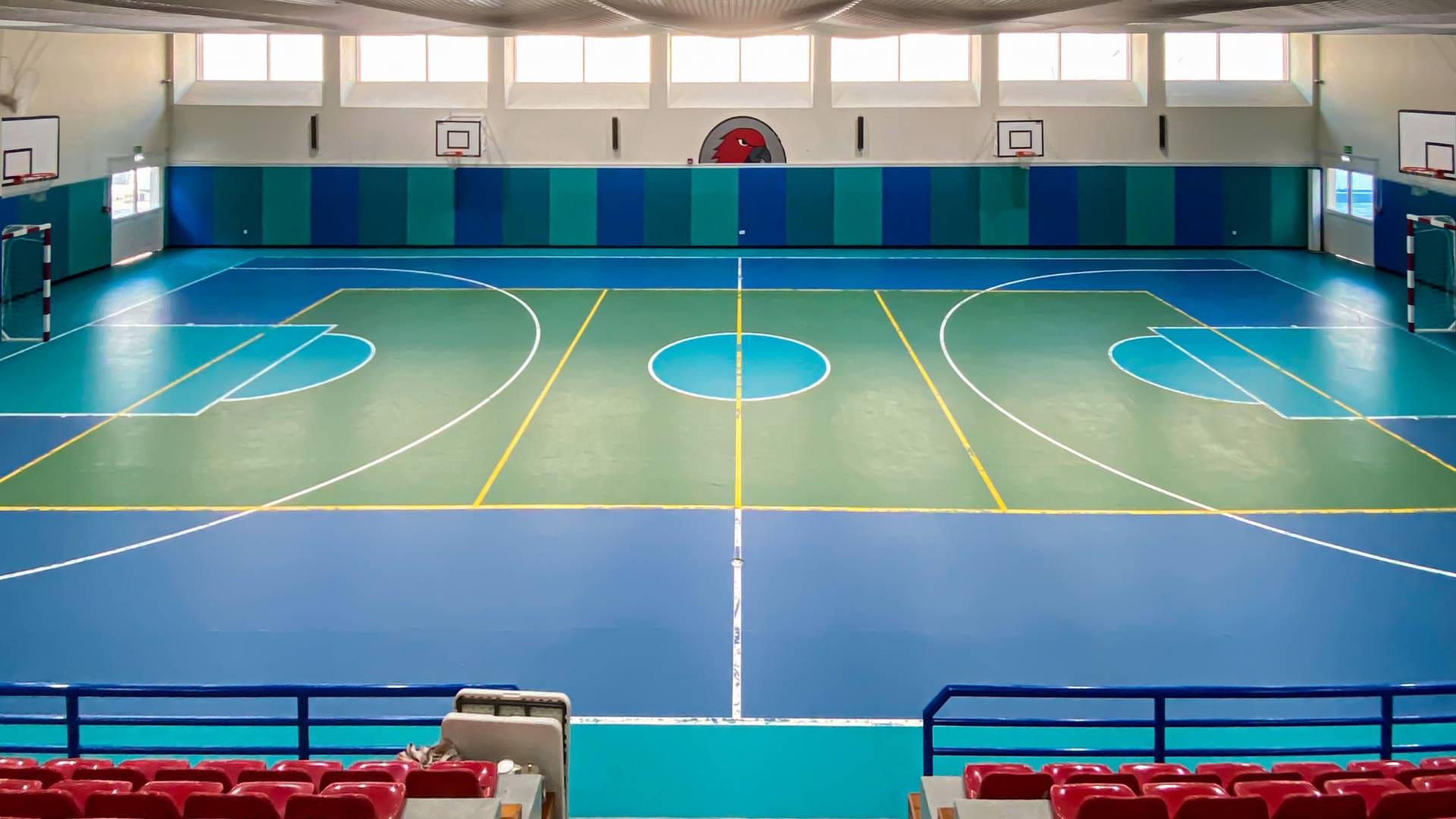 Blue Whale Emirates national school MBZ