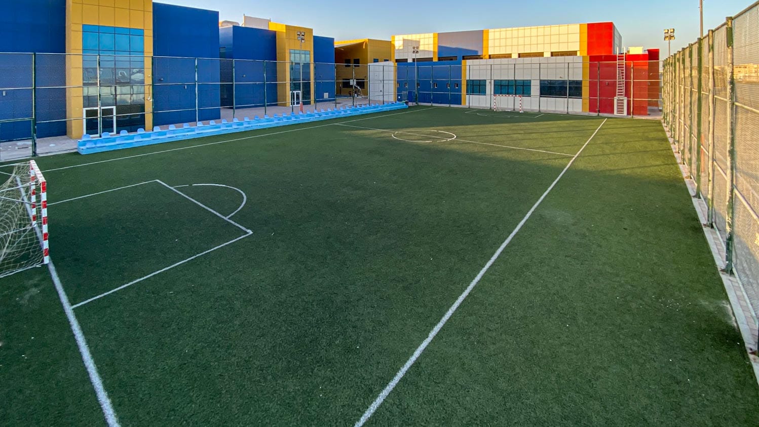 Blue Whale Wales school