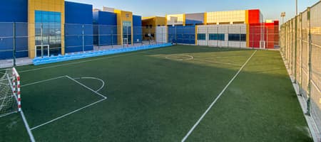 Blue Whale Wales school