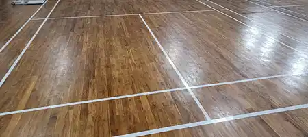 Boisterous Badminton Club