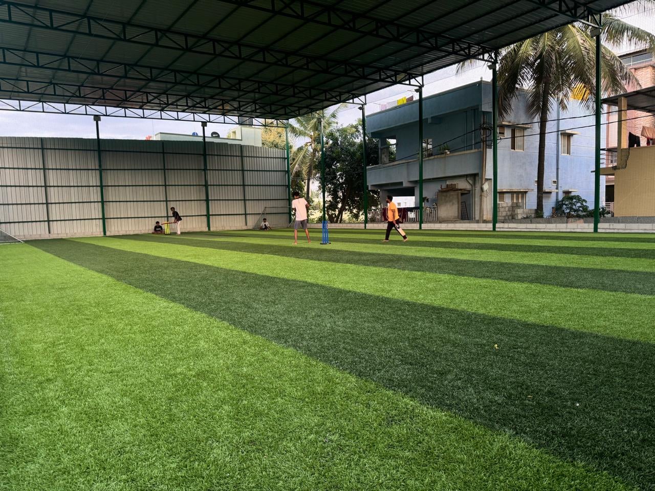 Turf photo 7